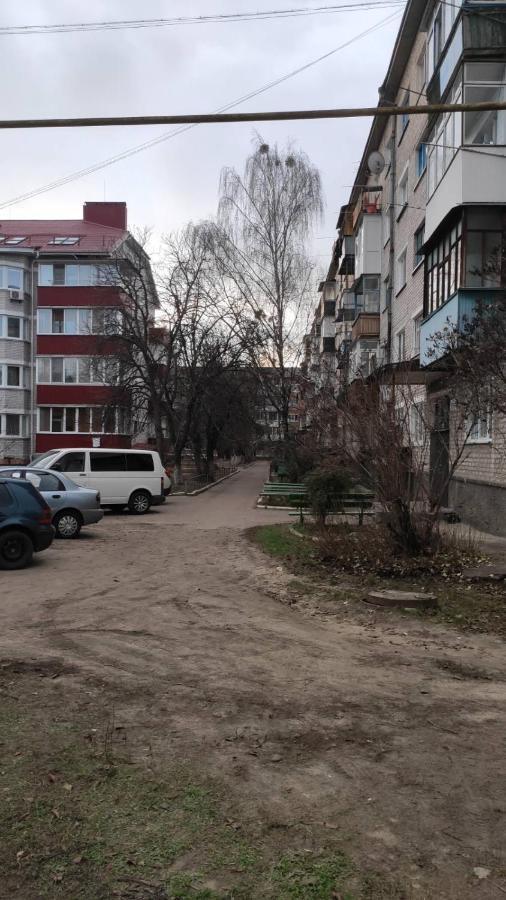 2-Х Комнатная Квартира Korosten Buitenkant foto